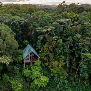 Rose Gums Wilderness Retreat , Butchers Creek Australië